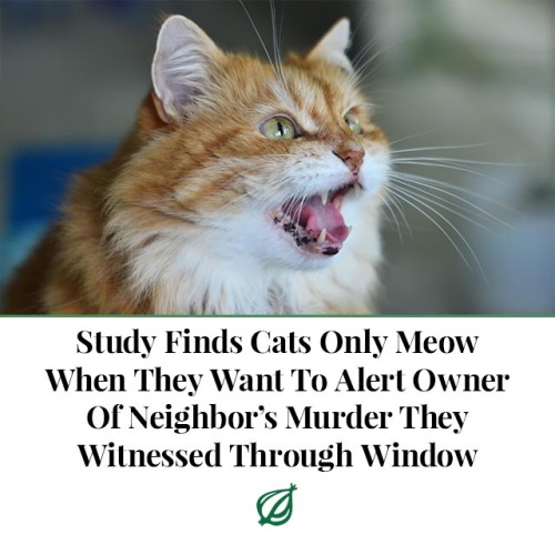 theonion: LONDON—A new study published this week in the journal Animal Behaviour revealed that