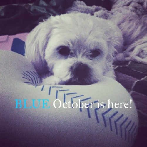 Lily loves #beroyalkc Made with @instaquoteapp. #instaquote