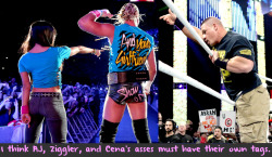 Wwewrestlingsexconfessions:  I Think Aj, Ziggler, And Cena’s Asses Must Have Their