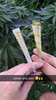 shesmokesjoints:  Tumblr friends and followers alike feel free on snapchat under the same name: SheSmokesJoints ^_^ 