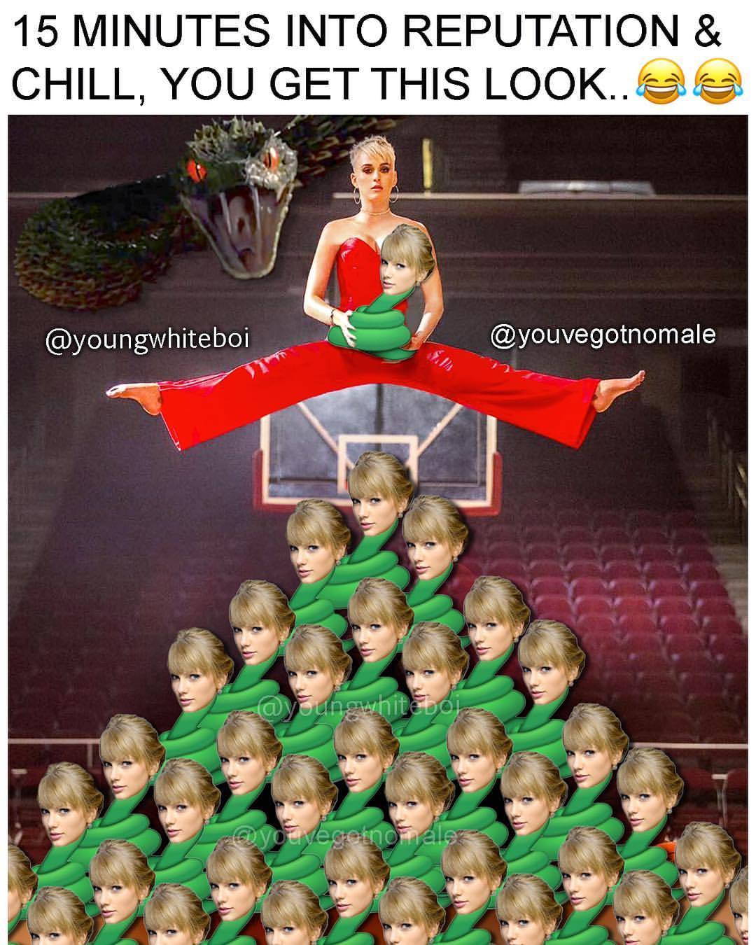 youngwhiteboi:  @taylorswift @katyperry #taylorswift #katyperry #witness #reptile
