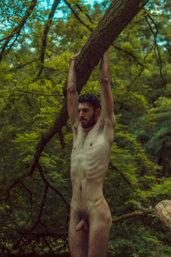 manuelmoncayo:  Florian, 2015 by Manuel Moncayo for #dreamsasrealityI met Florian almost by accident, we went for a walk and I found him fascinating. He is a wolf.