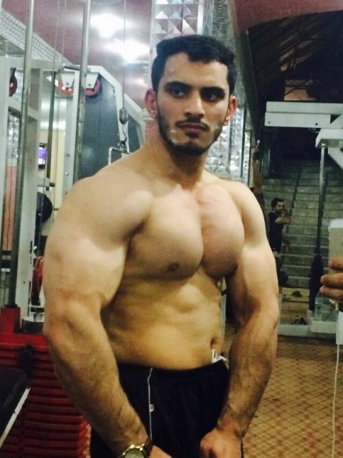 ARAB AND MIDDLE EASTERN MUSCLE porn pictures