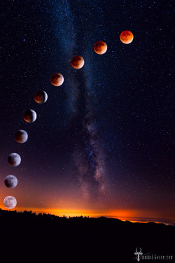 drxgonfly:  The Blood Moon (by Timothy Green)