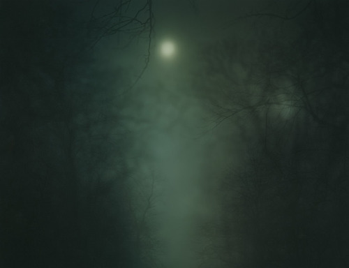 arpeggia:  Nicholas Hughes - In Darkness Visible Verse I, 2005-2007 Artist’s statement: “In reaction to media led sensory anaesthetisation, and wearied by empty political rhetoric, my aim was to construct a forest built from accumulated memory