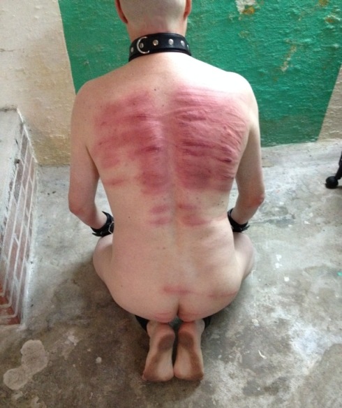 http://the-pillory.tumblr.com/post/92326568263