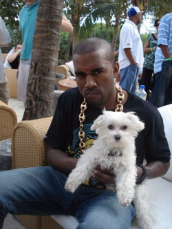 rocknrollercoaster:  Rappers with puppies.