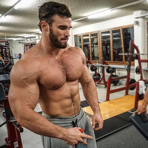 musclecrush:  Calum von Moger 