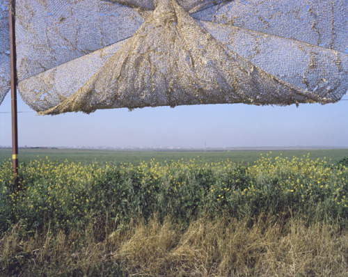 mpdrolet:  From Killing Time Kent Klich