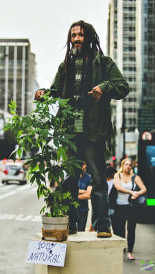 cartelizado:  Marcha Da Maconha - SP.