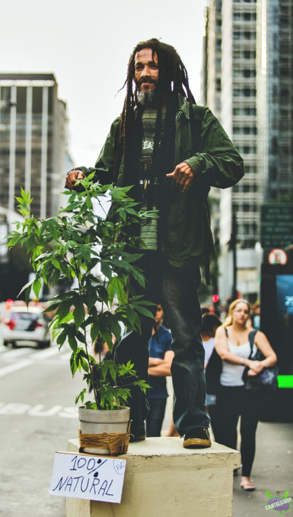 cartelizado:Marcha Da Maconha - SP.