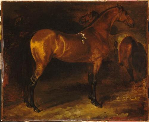 Spanish horse in a stable, Theodore Gericault