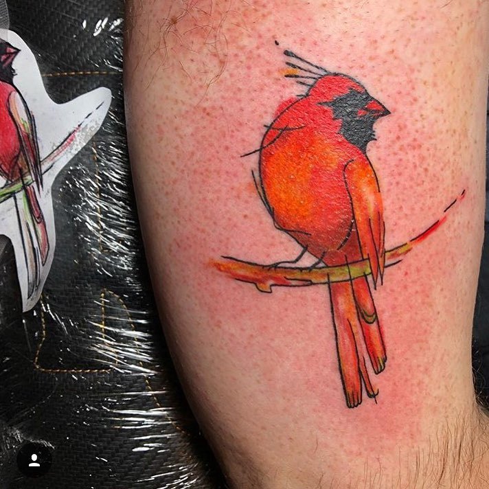 Update 64 watercolor cardinal tattoo  thtantai2