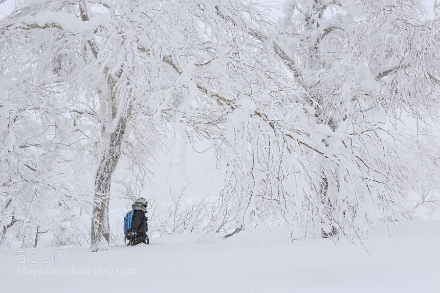socialfoto:  Winter Peace by intrepidphotos #SocialFoto 