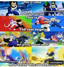 The real vegeta