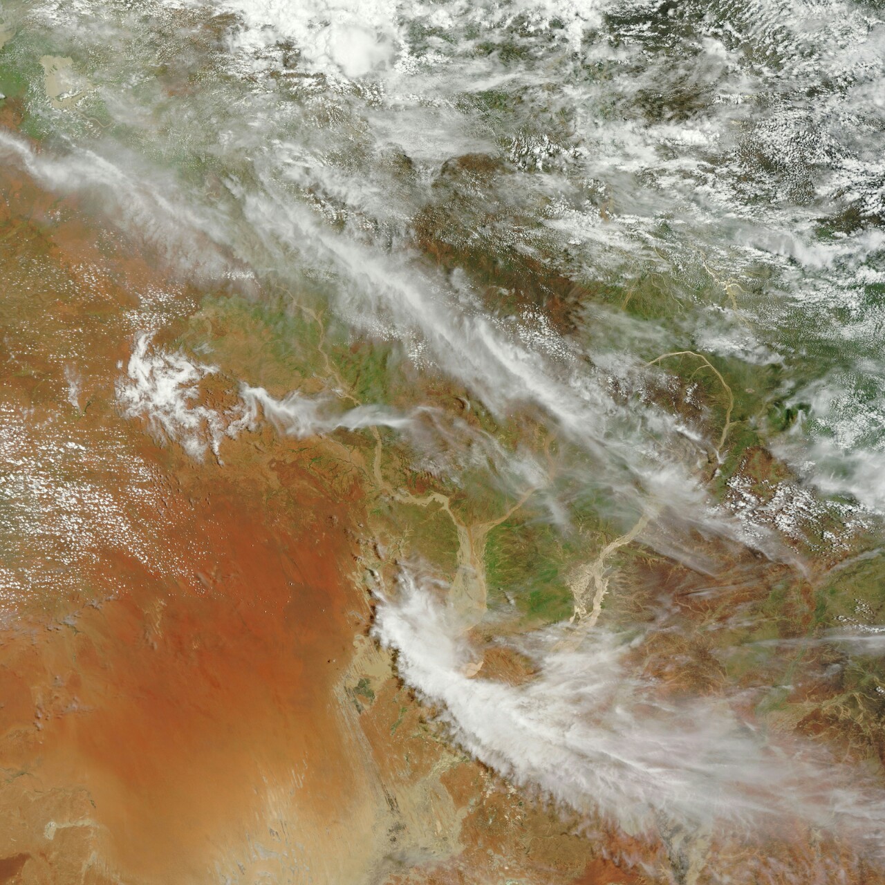 trefoiled:  Central Australia by Charlie Loyd