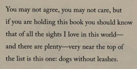 Mary Oliver, “Dog Songs”