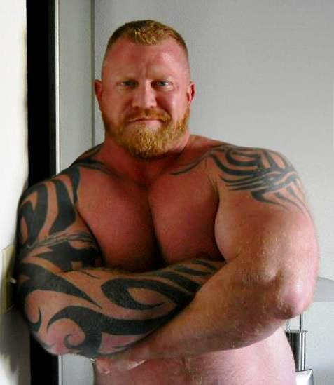 Bears and Muscle