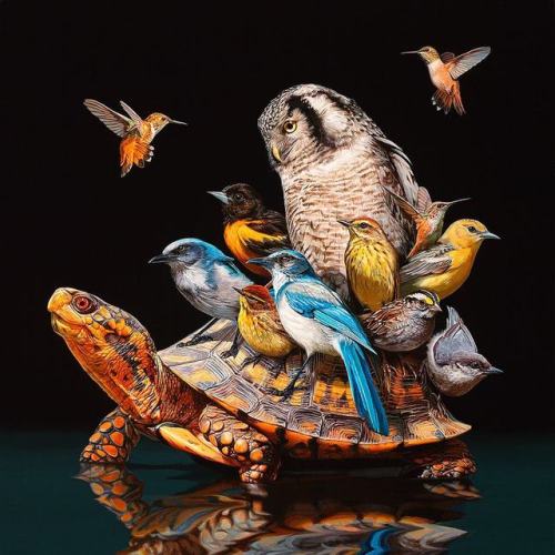 thecollectibles - Hyperrealistic paintings by Lisa Ericson