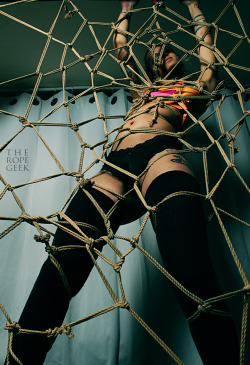 theropegeek:  rope and photo by memodel: @ropebaby