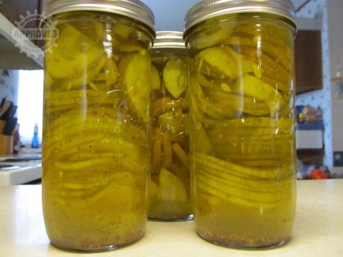 So I made a batch of pickles from the cucumbers out of my garden. Yum!