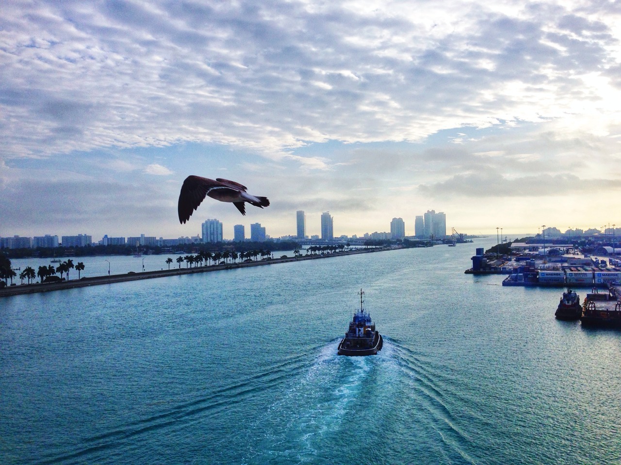 Miami morning skyline from the back of the cruise ship.