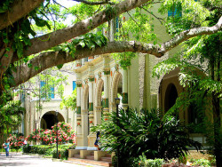 panarinquen:  University of  Puerto Rico campus