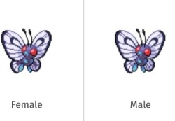 sun247:  When You realize Ashes Butterfree was Gay, after 20 years 