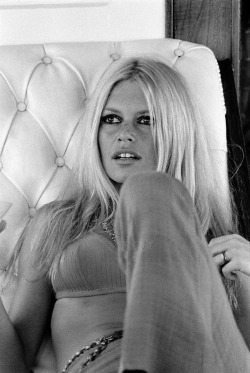 isabelcostasixties:  Brigitte Bardot in Her Saint-Tropez Estate La Madrague, In Saint-Tropez, France, In August 1967 .Photo by Jean-Pierre Bonnotte