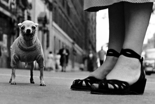 Elliott Erwitt - New York City, 1946.