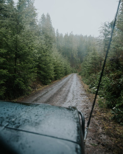 samshatsky:  Rainy forest roads