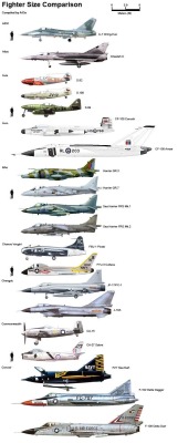 enrique262:  Fighter planes size comparison.