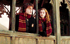   harry potter meme: one house ↳gryffindor “You might belong in Gryffindor, where dwell the brave at heart. Their daring, nerve and chivalry set Gryffindors apart.”    damn right.