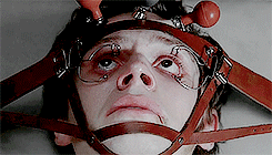 Evan T. Peters Daily