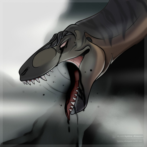 kpbica-dinozevr