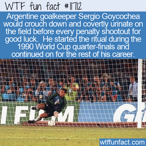wtf-fun-factss:Argentine goalkeeper Sergio Goycochea would crouch down and covertly urinate on the f