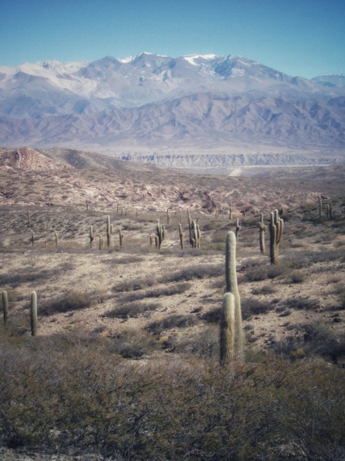 Tres vistas, Parque Nacional los Cordones, Salta, 2007.