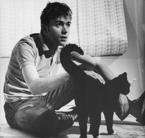 sumthingstewpid:Cat + favorite musicians/singers appreciation post