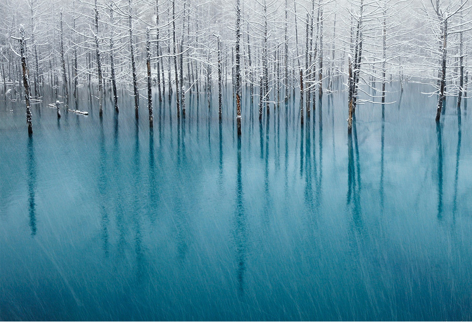 thekhooll:  50 Shades of Blue By Kent Shiraishi 