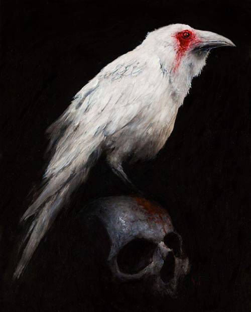 rhubarbes:  rhubarbes: White Raven by Nat Jones (www.natjones.com) found via Emmanuel Olarewaju  More on RHB_RBS