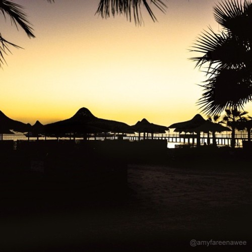 Sunrise on the beach #sunrise #beach #beachhut #morning #silhouette #dawn #breakingdawn #twilight #palmtree #landscape #landscapephotography #lightroom #photoshop #egypt #hurghada #redsea #africa #египет #хургада #море #insta_crew