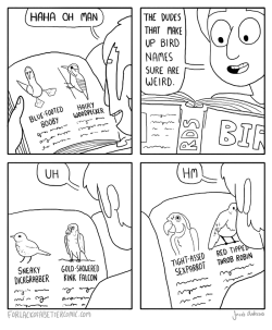 forlackofabettercomic:  As an amateur ornithologist