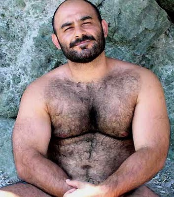 bears daddies grandsome-one
