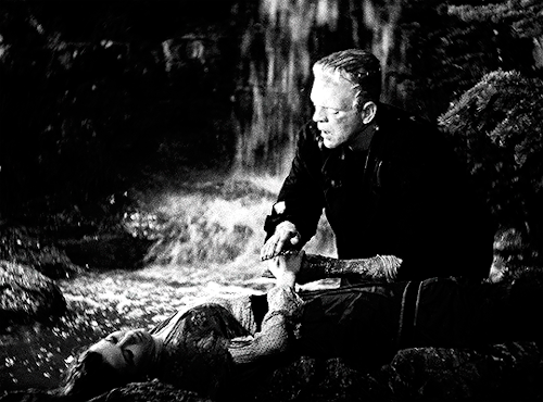 buckybarness:Films Watched in 2022↳ THE BRIDE OF FRANKENSTEIN (1935) • dir. James