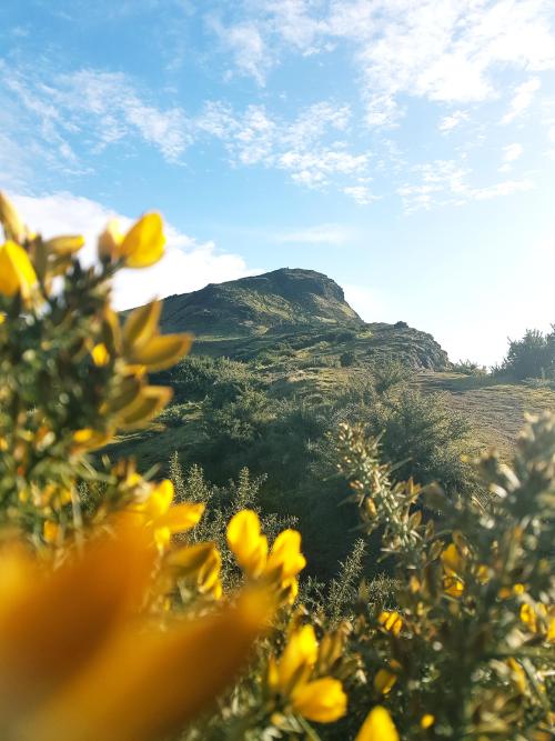 (via The majesty of Arthur’s Seat, Scotland, on today’s self-isolation hike [3024 x 4032