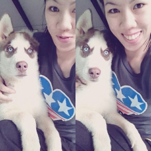 sorryyourenot:w/ Arrow. I have school, friends, party, they have only me#huskies #son #myfamily #vac