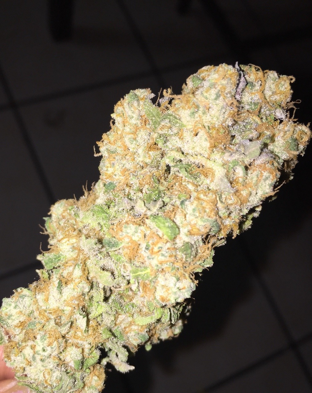 four0h8:  Just got half a zip of some Phantom Cookies, straight murder.