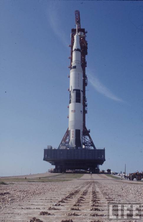 Apollo XI rolls out(Bill Eppridge. 1969)