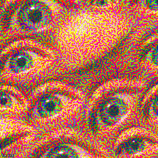 "I Always Feel Like, Somebody's Watching Meeeeeeeee"