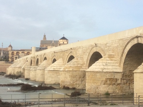 Puente Romano, Córdoba, 2016.